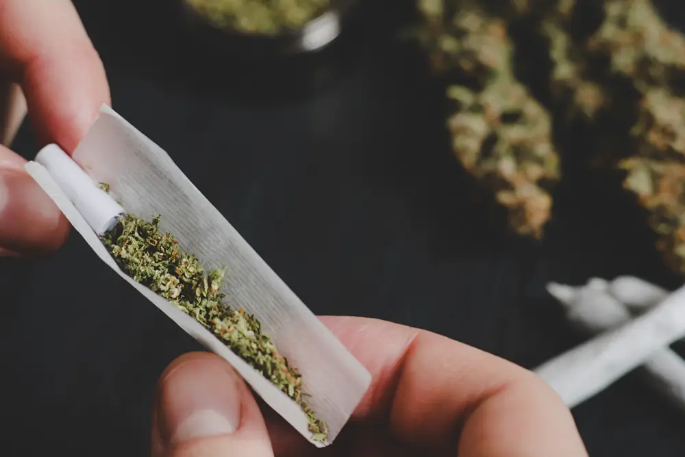 Dependência de Maconha