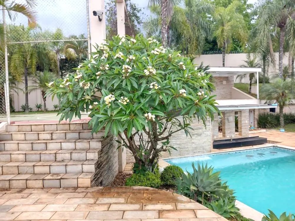 Unidade 02 — foto 3